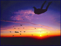 Tennessee Skydiving